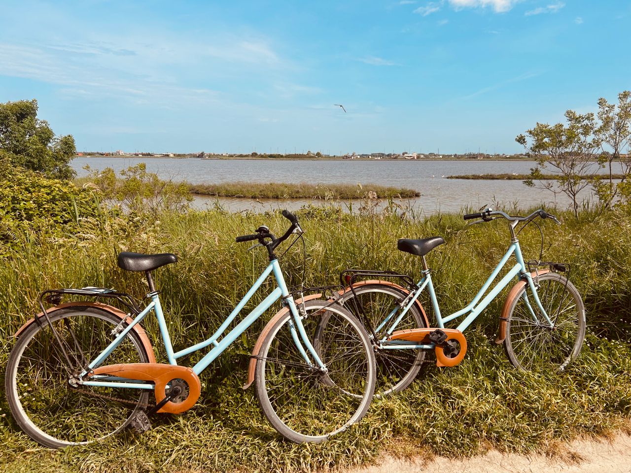 Two vintage bicycles resting near a peaceful lakeside on a sunny day.